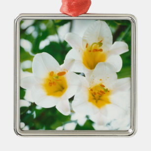 Liliumkandidat Ornament Aus Metall
