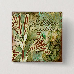 Lillium Candidum Button