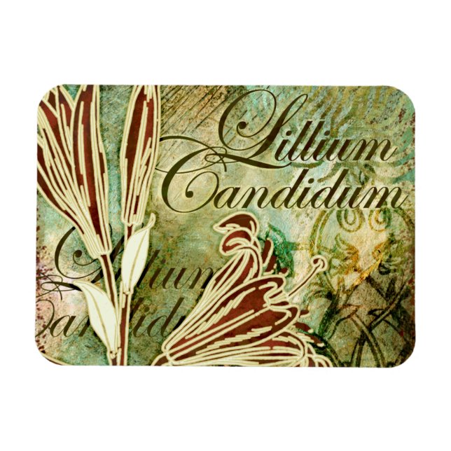 Lillium Candidum Magnet (Horizontal)