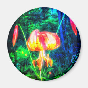 LILLY 1MICHIGAN MAGNET