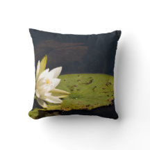 Lilly Auflage
