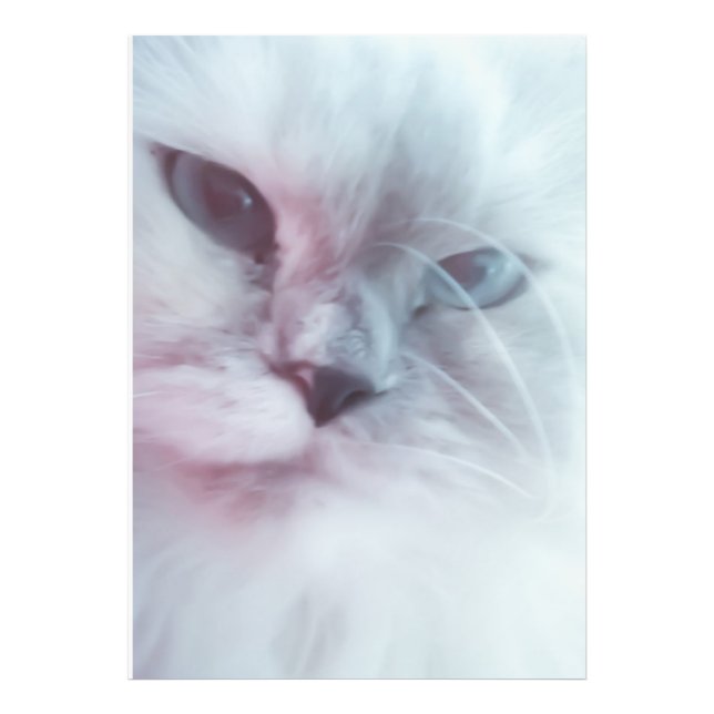 Lilly Fotodruck (Vorne)