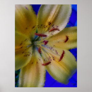Lilly Lilien Blume Blumenfotografie Poster