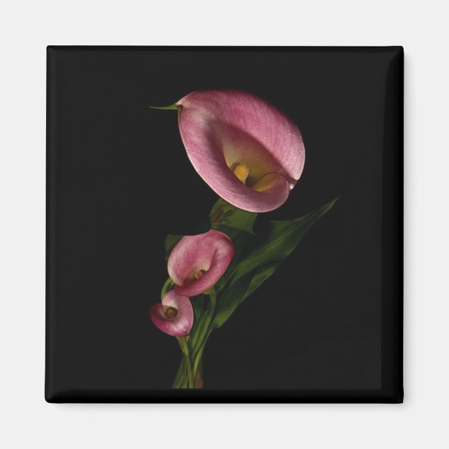 Lilly Magnet (Vorne)