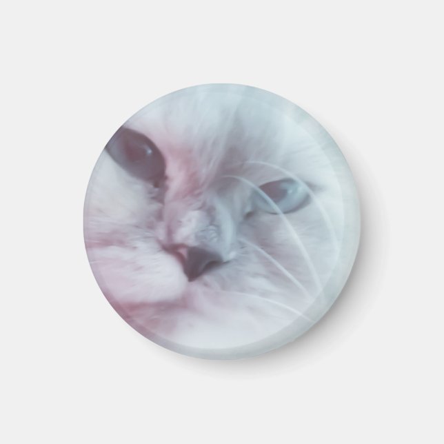 Lilly Magnet (Vorne)