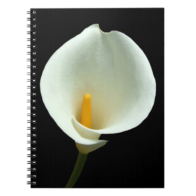Lilly-Notebook Notizblock (Vorderseite)