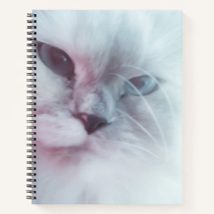 Lilly Notizbuch