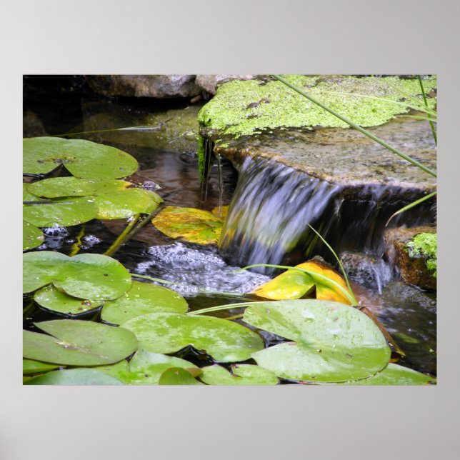 Lilly Pad Waterfall Poster (Vorne)