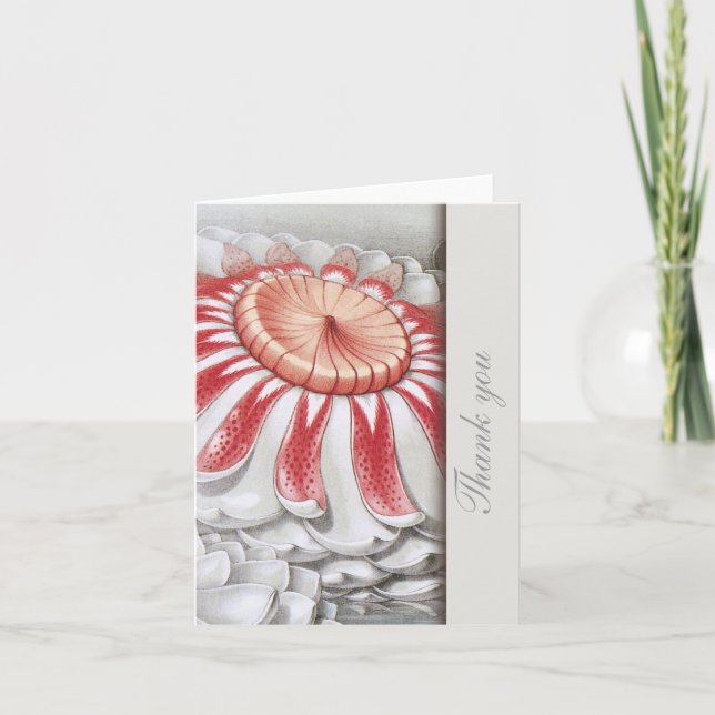 Lilly Pads floral Dankeschön Hinweise Dankeskarte (Vorderseite)