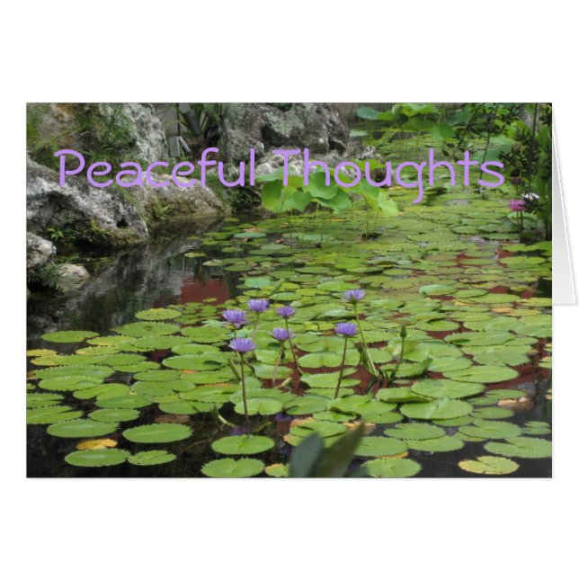 Lilly Pond (Vorderseite (Horizontal))