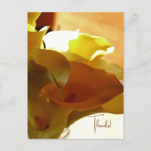 LILLY Postcard Postkarte