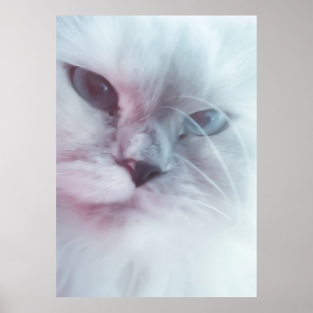 Lilly Poster (Vorne)