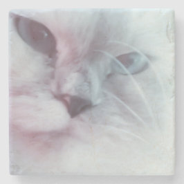 Lilly Steinuntersetzer