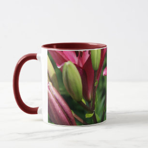 Lilly Tasse