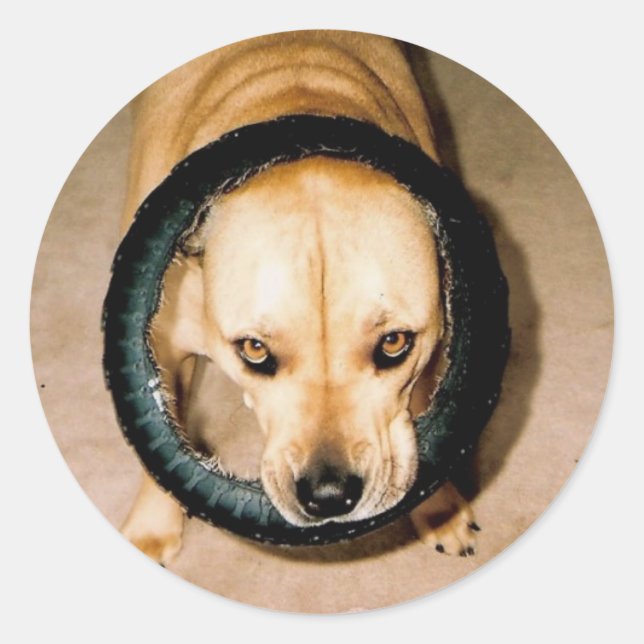Lilo in Tire Runder Aufkleber (Vorderseite)