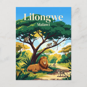 Lilongwe Wildlife Centre Malawi Postkarte