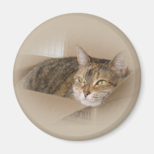 Lily #1 magnet