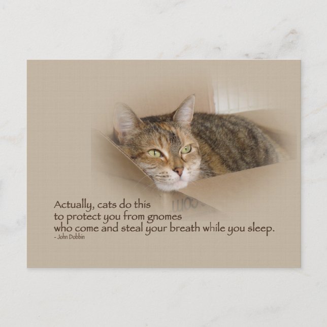 Lily #1 postkarte (Vorderseite)