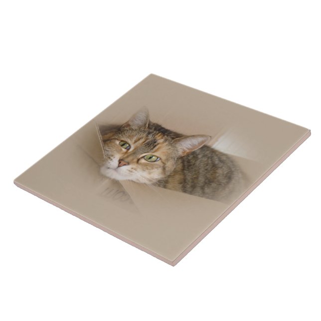 Lily #2 fliese (Seite)