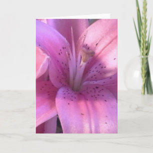 Lily All Purpose Grußkarte Karte