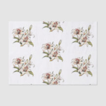 Lily aus dem Tal. Blütenorange