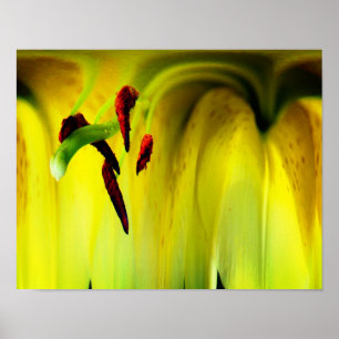 Lily Blume Fantasy Floral Abstrakt Poster