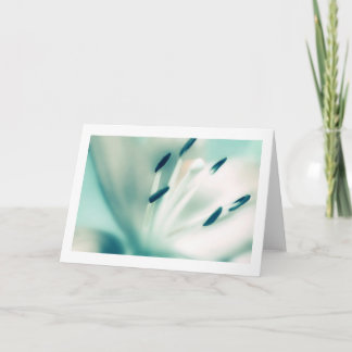 Lily Blume Fotografie, Besondere Anlass Cards Karte