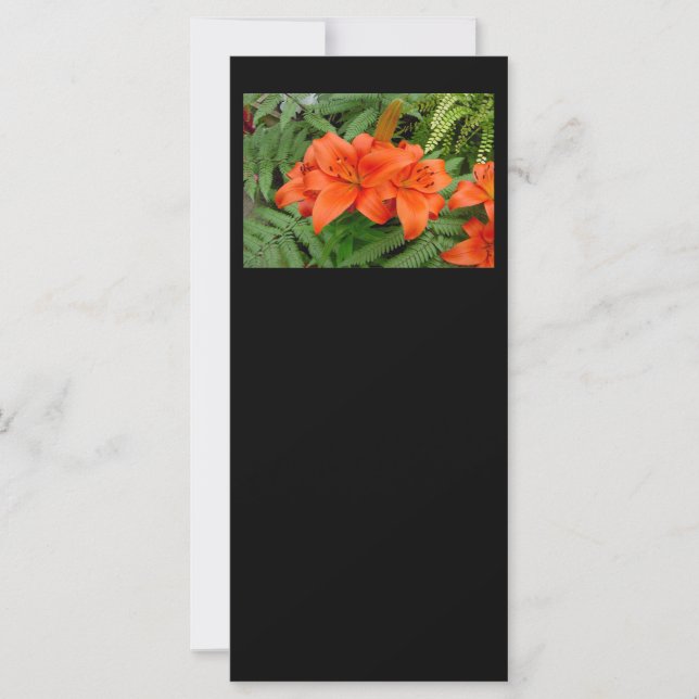 Lily Blume - Iridescent orange (Matt 28-30) (Vorderseite)