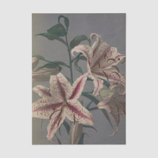 Lily by Ogawa Kazumasa Seidenpapier