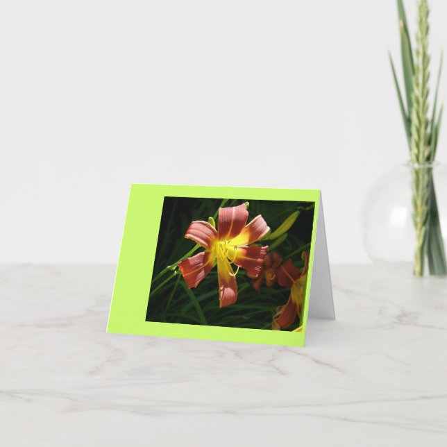 Lily Dankeskarte (Vorderseite)