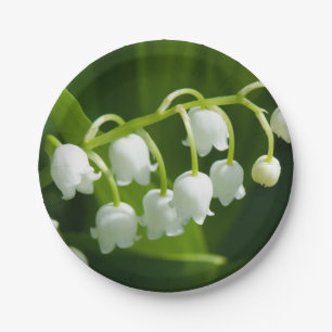 Lily der Blume Pappteller