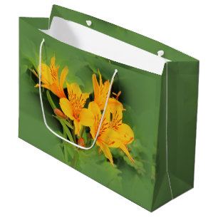 Lily der Inkas / Gelbe Alstroemeria Große Geschenktüte