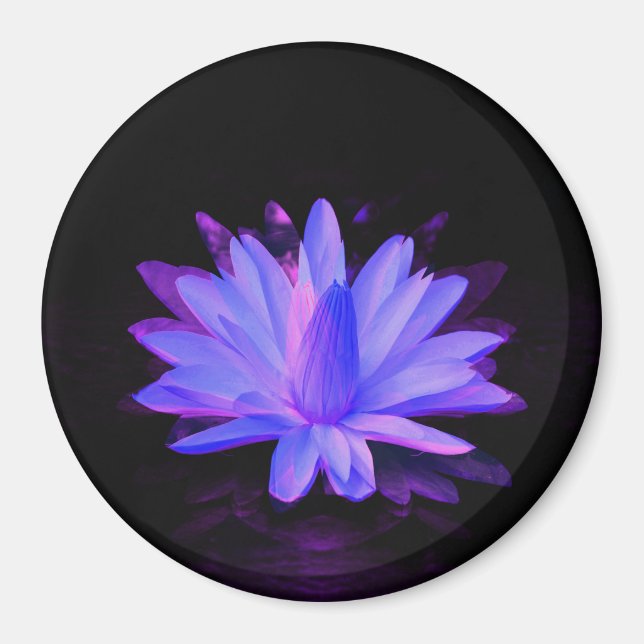 Lily der Liebe... Magnet (Vorne)