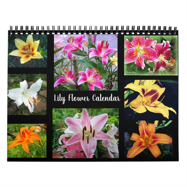 Lily Flower Fotografy Kalender (Titelbild)