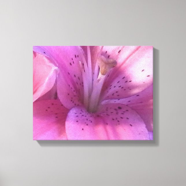 Lily Foto Canvas Print Leinwanddruck (Vorderseite)