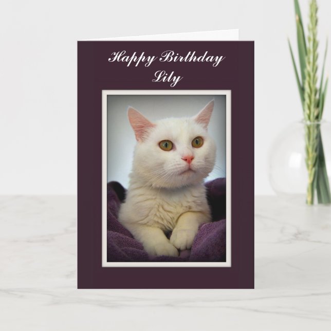 Lily Happy Birthday White Cat Card Karte (Vorderseite)