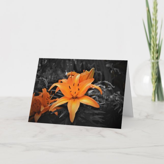 Lily, Karte (Vorderseite)