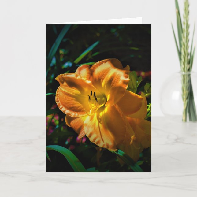Lily, Karte (Vorderseite)