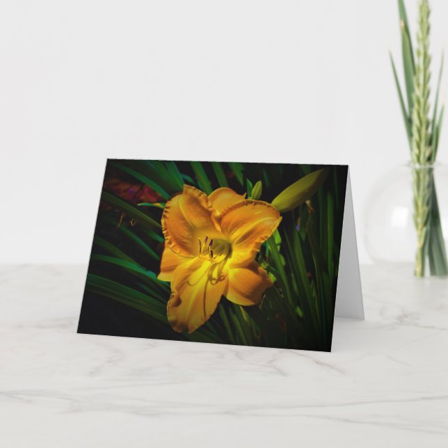 Lily, Karte (Vorderseite)