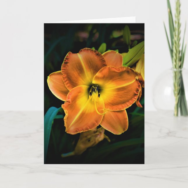 Lily, Karte (Vorderseite)