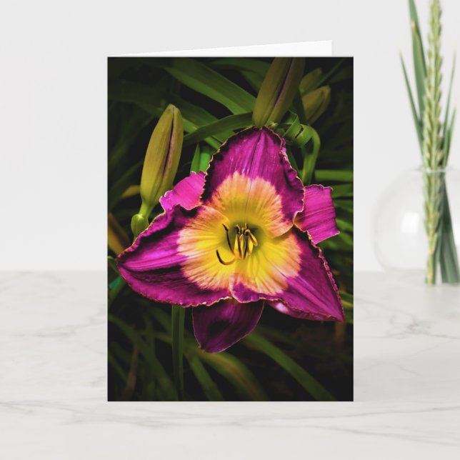 Lily, Karte (Vorderseite)