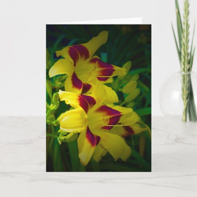 Lily, Karte (Vorderseite)