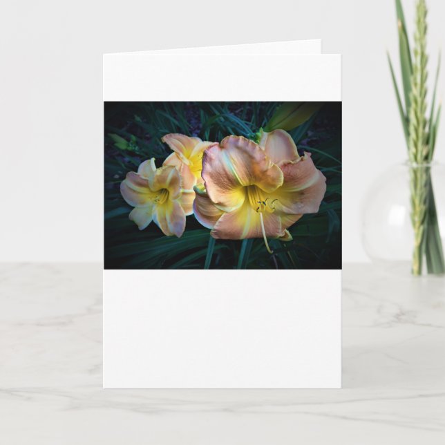 Lily, Karte (Vorderseite)