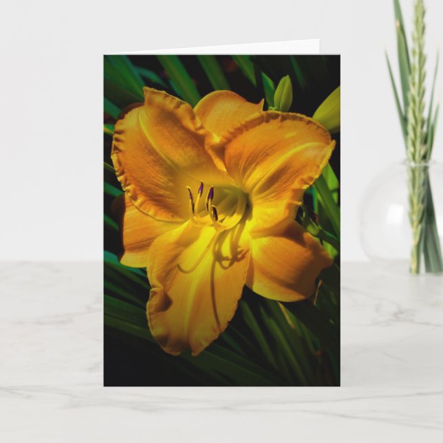 Lily, Karte (Vorderseite)