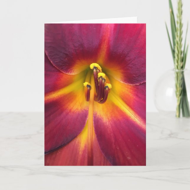 Lily, Karte (Vorderseite)