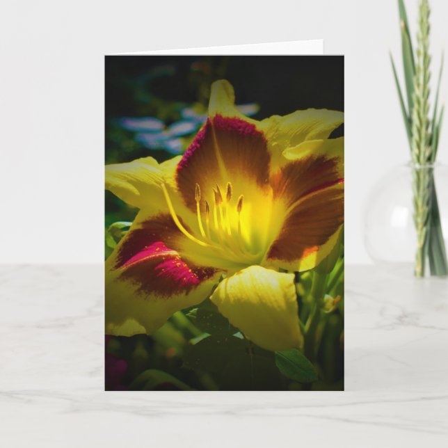 Lily, Karte (Vorderseite)