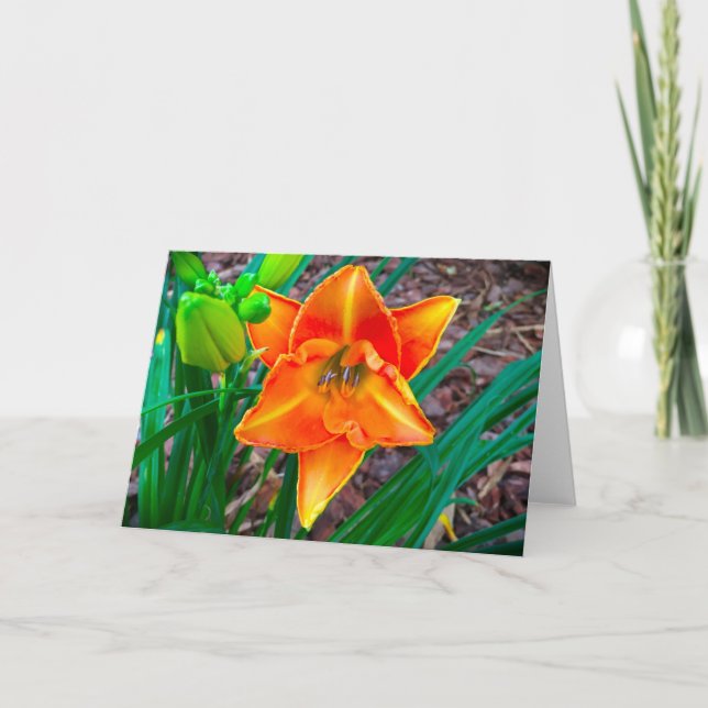 Lily, Karte (Vorderseite)