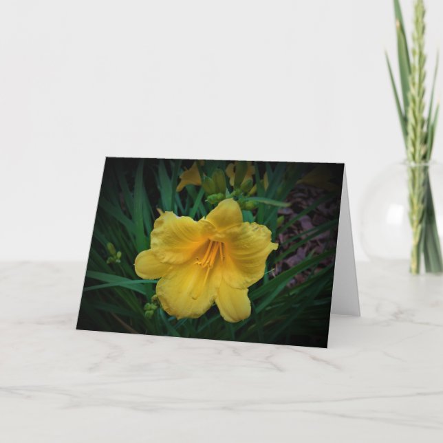 Lily, Karte (Vorderseite)