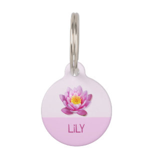 Lily Katze Hund Name Haustiermarke