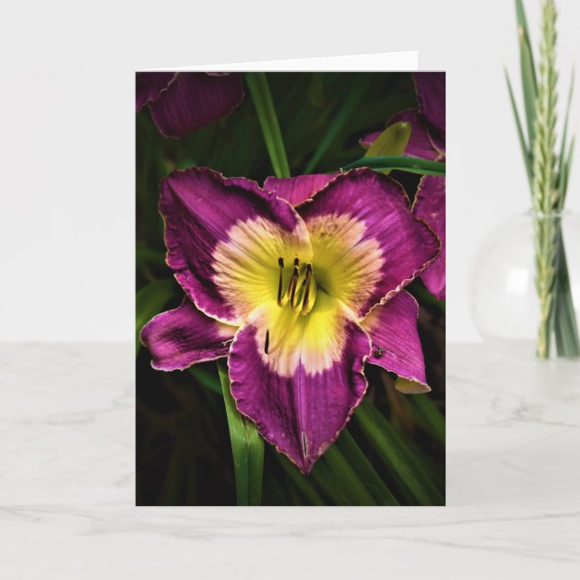 Lily & Ladybug, Karte (Vorderseite)